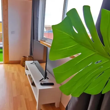 Loft Bella Vista Apartment *